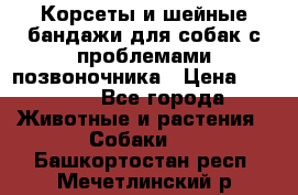 Корсеты и шейные бандажи для собак с проблемами позвоночника › Цена ­ 2 500 - Все города Животные и растения » Собаки   . Башкортостан респ.,Мечетлинский р-н